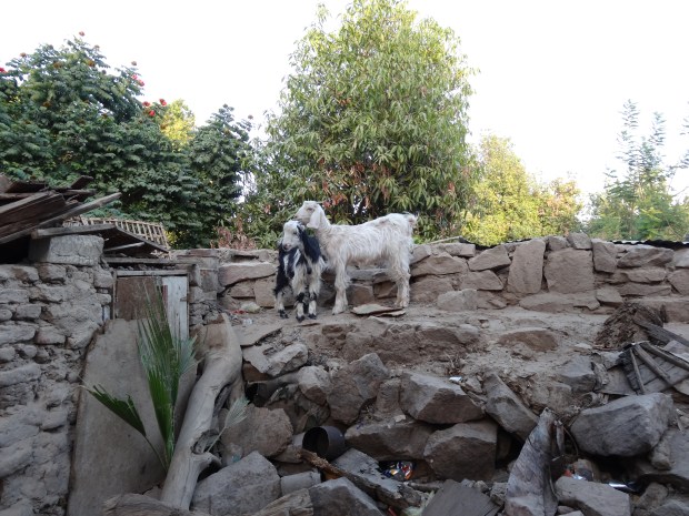 île éléphantine Assouan