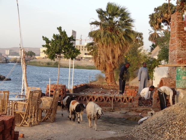 île éléphantine Assouan