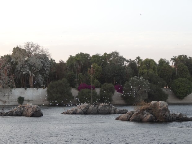 île éléphantine Assouan