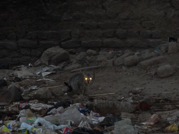 île éléphantine Assouan