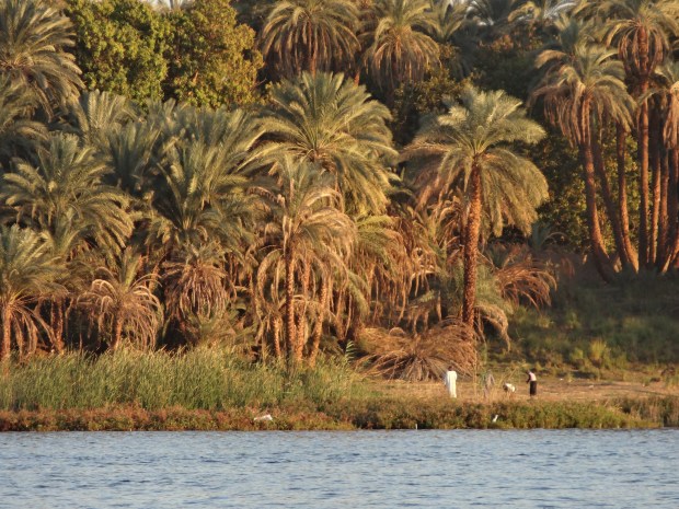 croisière Egypte
