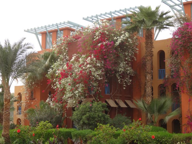 El Gouna Egypte
