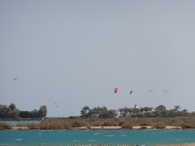 El Gouna Egypte