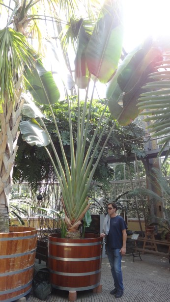 parc botanique Amsterdam