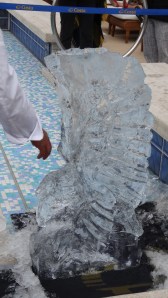 croisière fjords norvégiens