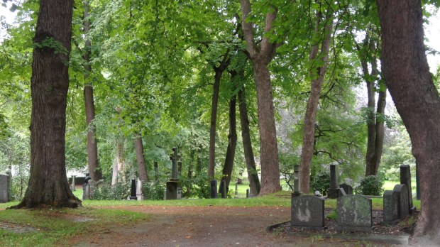 Trondheim croisière Norvège