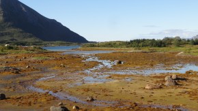croisière Iles Lofoten