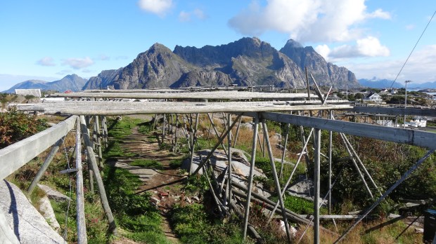 croisière Iles Lofoten