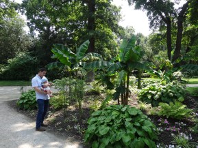 parc Saint Germain en Laye
