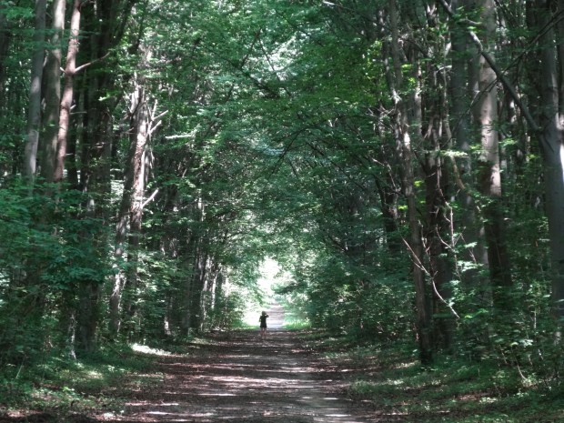 parc Saint Germain en Laye