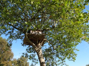 festival jardins Chaumont