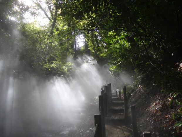 festival jardins Chaumont