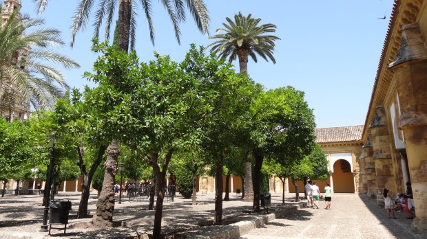 mosquée cathédrale cordoue