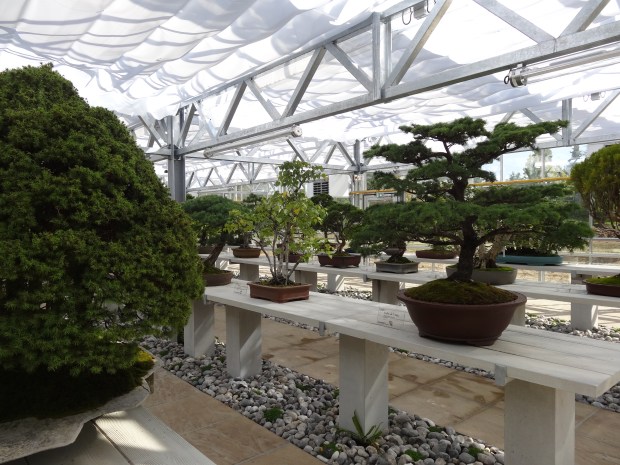 arboretum Vallée aux loups