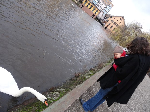 marché Noël Strasbourg