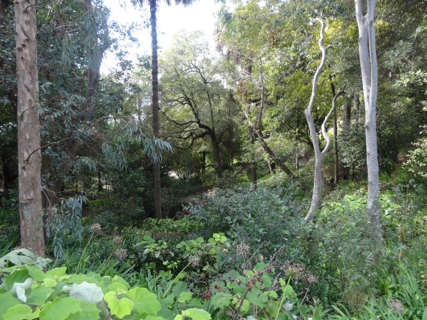 Madère jardin botanique croisière