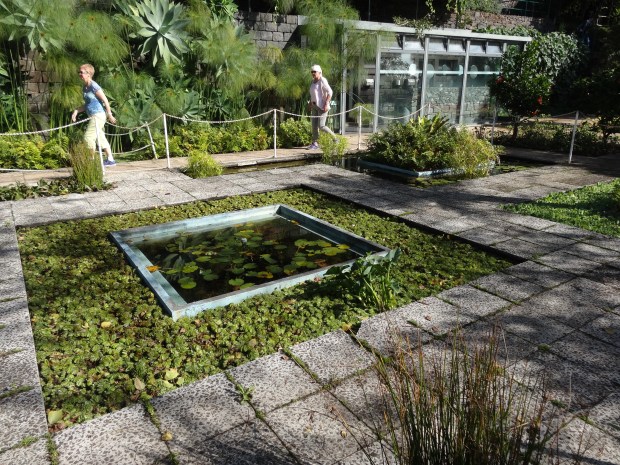Madère jardin botanique croisière