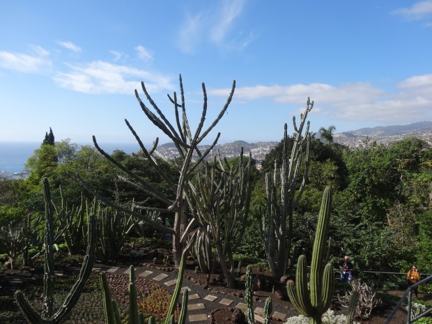 Madère jardin botanique croisière