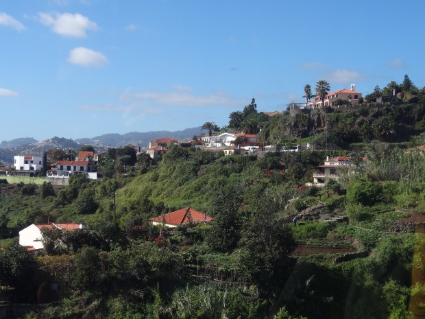 Madère jardin botanique croisière