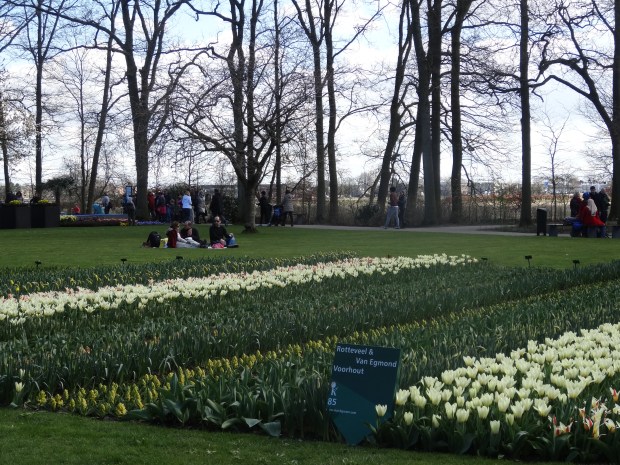 Keukenhof