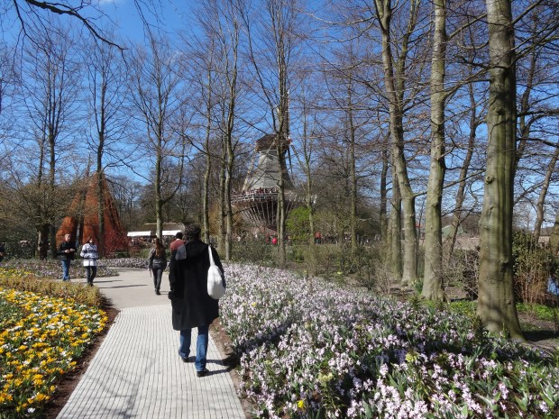 Keukenhof