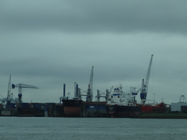 port Rotterdam spido