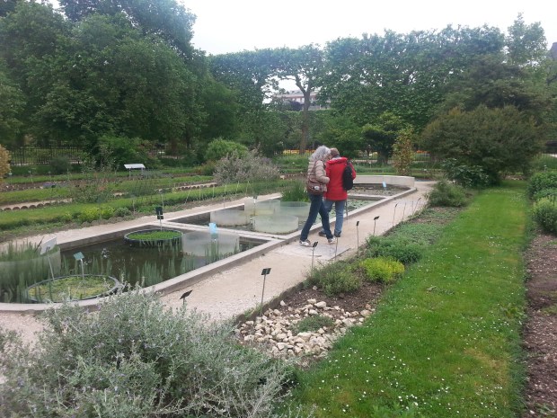 Jardin des plantes