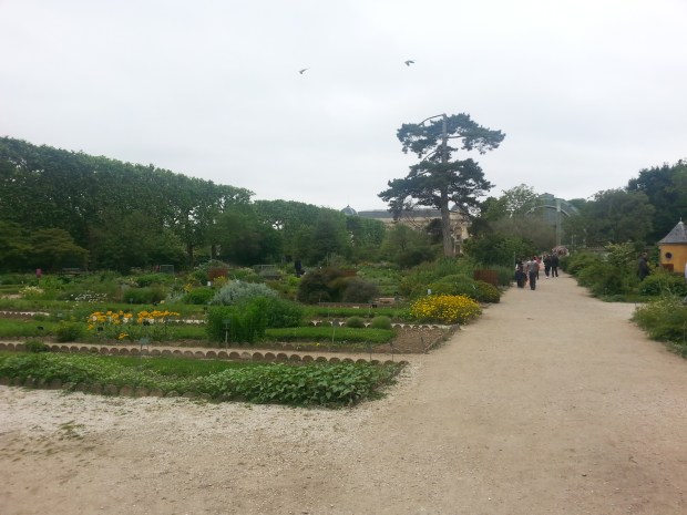 Jardin des plantes