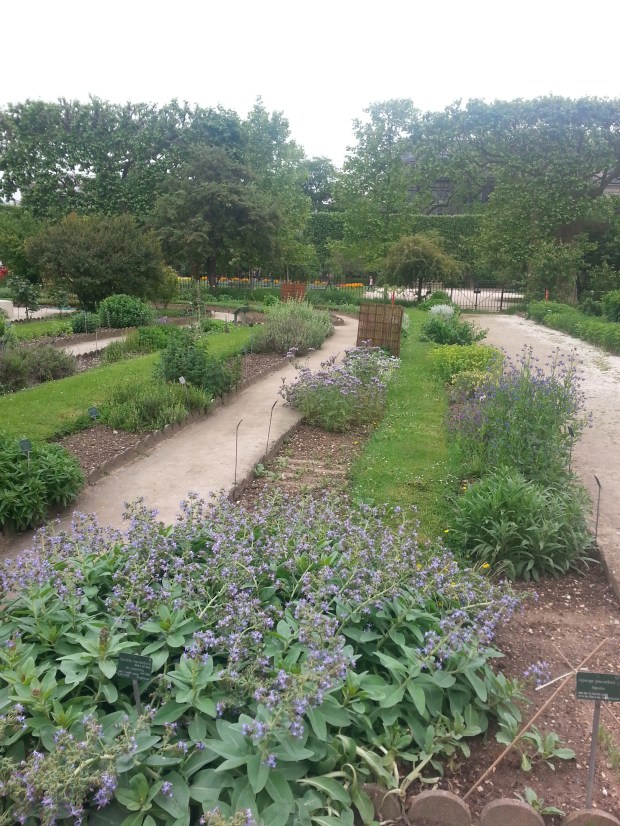 Jardin des plantes