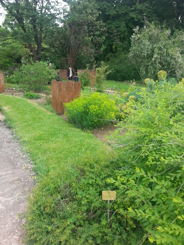 Jardin des plantes