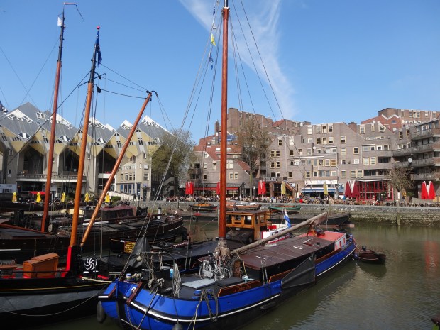 maison cube Rotterdam