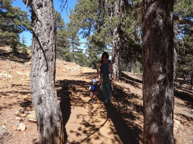 Mont Olympe Chypre troodos